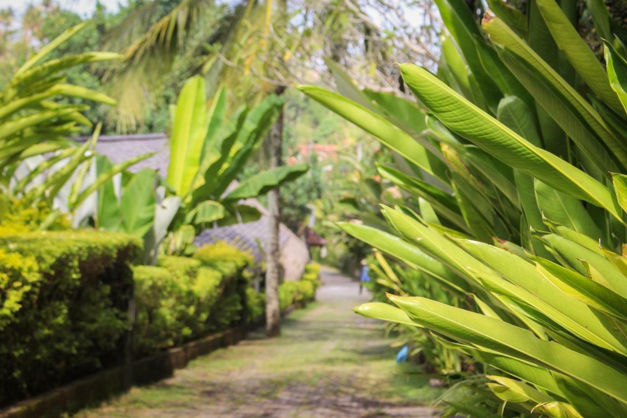 Balian Surf Villas Selemadeg  Dış mekan fotoğraf