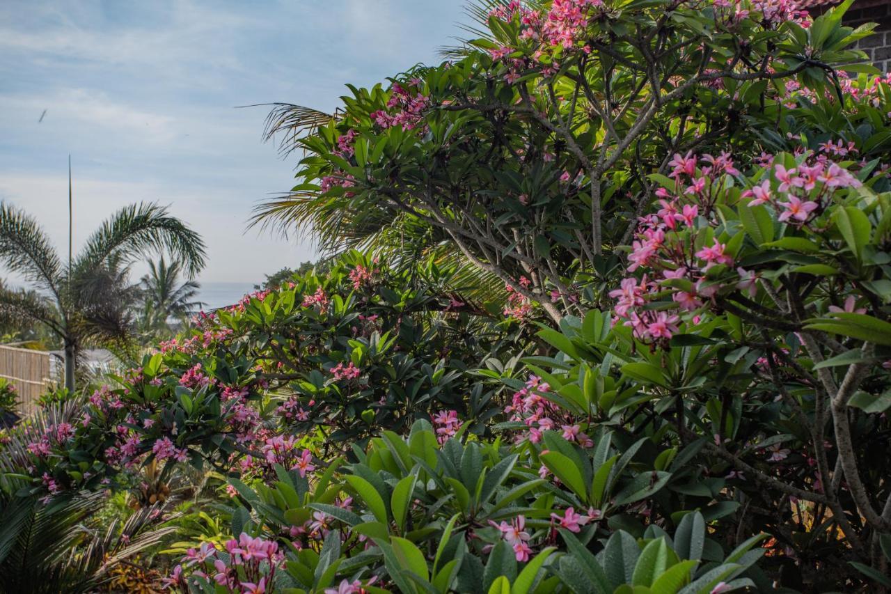 Balian Surf Villas Selemadeg  Dış mekan fotoğraf